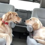 Jim Daw - @jimdawjr - Instagram