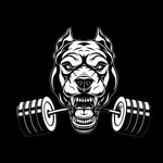 Jim Dawg Apparel - @jimdawgapparel - Instagram