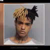 jimjimbrodawg - @jimdawg7 - TikTok