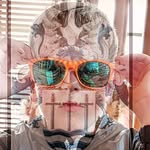 jimmy - @jimmydeheer - Instagram