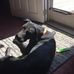 Jim Delaney - Facebook