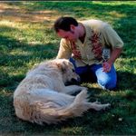 Jim Delaney - @jim_meets_puppies - Instagram
