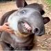 Jim Delp - Facebook