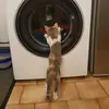 jimdelph - @jimdelph - TikTok