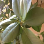 Jim Diamantis - @diamantisjim - Instagram