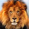 Jim Diamond - @jim.diamond86 - TikTok
