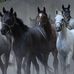 Jim Diamond - Facebook