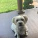 Jim DiMuzio - Facebook