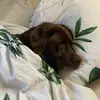 Jim Derks - @jim.derks - TikTok