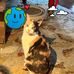 James Doggett - Facebook