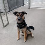 Jim Doggett - @pokkiroad - Instagram