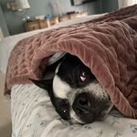 Jim DuCharme - @ducharmejim4 - Instagram