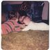 Jim DuCharme - Facebook