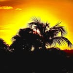 Jim Duda - @dudajim - Instagram