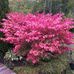 Jim Durant - Facebook