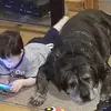 jimdurant70 - @jim.durant3 - TikTok