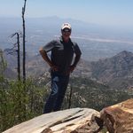 Jim Eaves - @jimeaves_arborist - Instagram