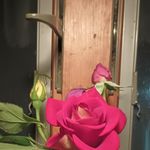 Jim Eberhardt - @jim.eberhardt.68 - Instagram