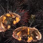 Jim Eberhardt - @local805seafood - Instagram