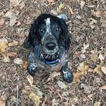 Jim Everett - @jim.everett.77 - Instagram