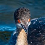 Jim Everett - @jeverettphoto - Instagram