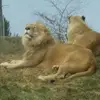 jimeverett1 - @jimeverett1 - TikTok