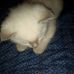 Jimmy Eversole - Facebook