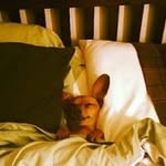 Jim Faircloth - @jim.faircloth - Instagram