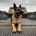 Jim Fleck - Facebook