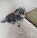 Jim Foreman - Facebook