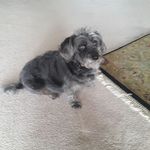 Jim Foreman - @jim.foreman.77770 - Instagram