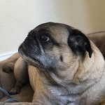 Duke Jim Friedman - @duke_jim_friedman - Instagram