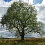 Jim Galloway - @jim.galloway.319 - Instagram