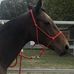 Jim Gardiner - Facebook