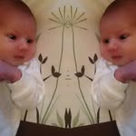 Jim Gauthier - @jimgauthier1320 - Instagram