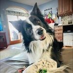 Jim Geiser - @jim_geiser - Instagram