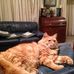 Jim Gerard - Facebook