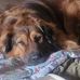 Jim Gilreath - Facebook