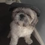 Jim Goodall - @jim.goodall.7906 - Instagram