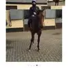 Jimmy Goodall - @jimmy.goodall41 - TikTok