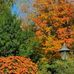 Jim Caroline Gosnell - Facebook