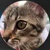 jimgrace - @jimgrace1 - TikTok