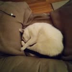 jim greaves - @greaves675 - Instagram