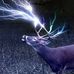 Jim Greiner - Facebook