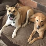Jim Greiner - @greiner_jim - Instagram