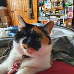 Jim Grice - @jimgrice - Instagram