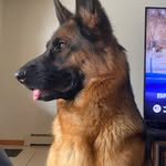 Jim Grisham - @jrgrits - Instagram