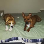 Jim Gross - @cardiojimbo - Instagram