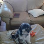 Jim Gross - @jimgross64 - Instagram