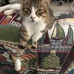 Jim Grossi - @jim.grossi - Instagram